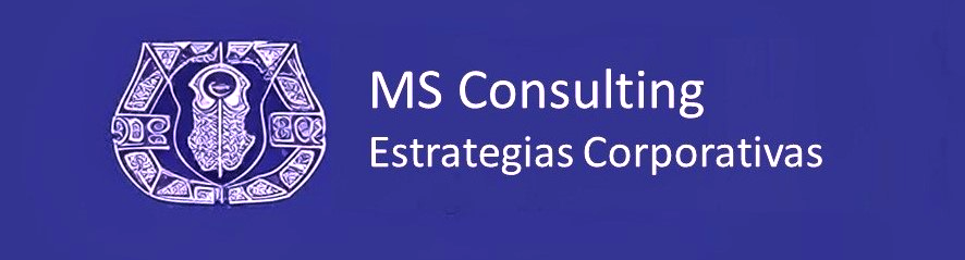 Logo MS Consulting (2)